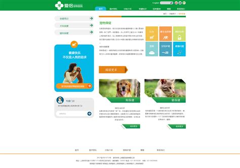 宠物网站首页|UI|APP interface|郭小部_Original作品-站酷(ZCOOL)