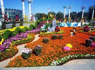 北京世界花卉大观园 的图像结果