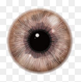 眼瞳图片