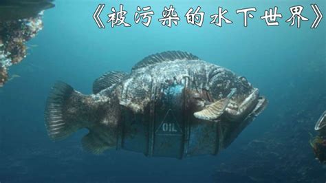 核污染鱼惊现，中国周边海鲜还能安全食用吗？｜一虎一席谈_凤凰网视频_凤凰网
