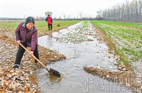 尧都区东里村：冬浇小麦为丰产丰收打基础_临汾新闻网