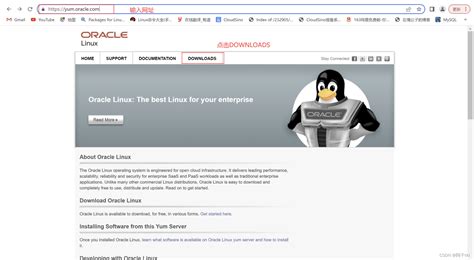 CentOS的替代品——Oracle unbreakable Linux9.2安装体验_centos 替代_贺浦力特的博客-CSDN博客