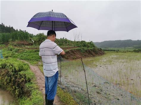 青阳县开展2019年补充耕地项目占补平衡新系统外业录入工作-池州市自然资源和规划局
