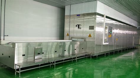 全自动速冻食品包装机-温州润立机械有限公司