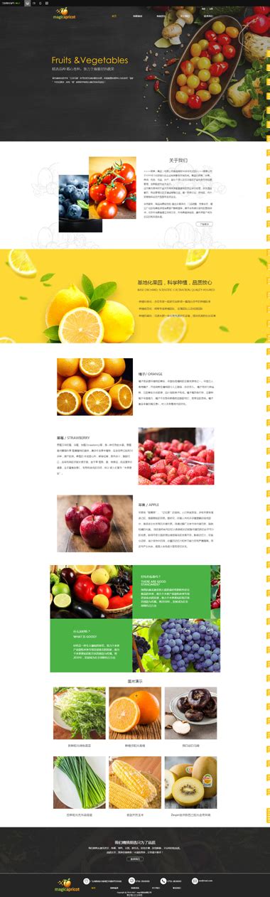 水果店网站模板-水果批发网站模板-SEO优化水果批发-够完美