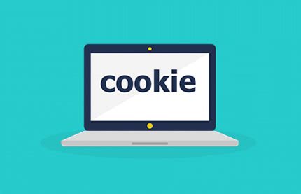 浏览器cookies是什么-浏览器cookies详细介绍-插件之家