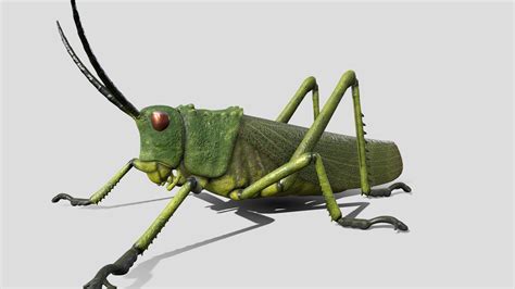 Grasshopper入门到进阶系列精讲课程_哔哩哔哩_bilibili