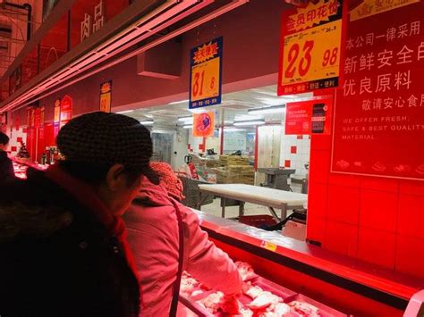2022年藏香猪市场价格表_藏香猪种猪多少钱一只 - 藏香猪引种首选山东藏香天下