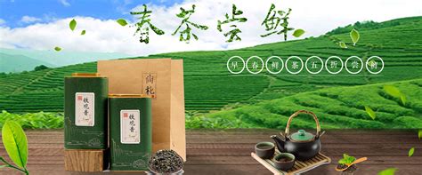 茶叶banner|网页|Banner/广告图|吕寒 - 原创作品 - 站酷 (ZCOOL)