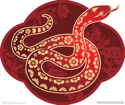 金蛇花纹设计图__野生动物_生物世界_设计图库_昵图网nipic.com