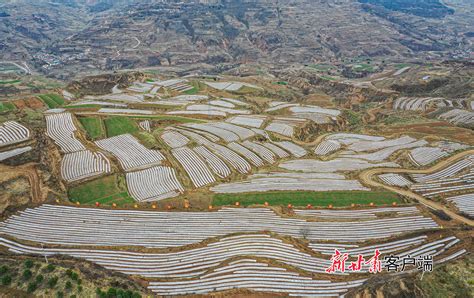 秦安：文化赋能激发乡村振兴新活力(图)--天水在线