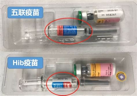 关于香港五联疫苗的储藏消息_香港疫苗_香港逸苗luxmed官网