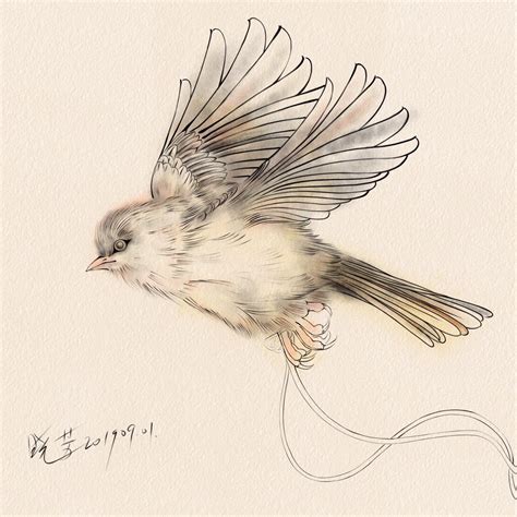 飞鸟|插画|插画习作|鹦鹉洲fangfang - 原创作品 - 站酷 (ZCOOL)