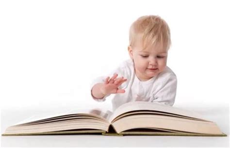 1～2岁宝宝认知能力的发展——聪明从头开始