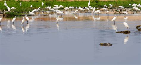 南阳白河国家湿地公园景点信息-排行榜123网