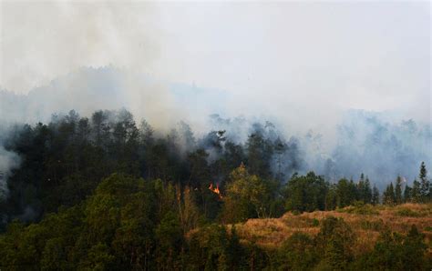 四川自贡发生森林火灾 空地协同紧急扑救|森林火灾|扑救|空地_新浪新闻