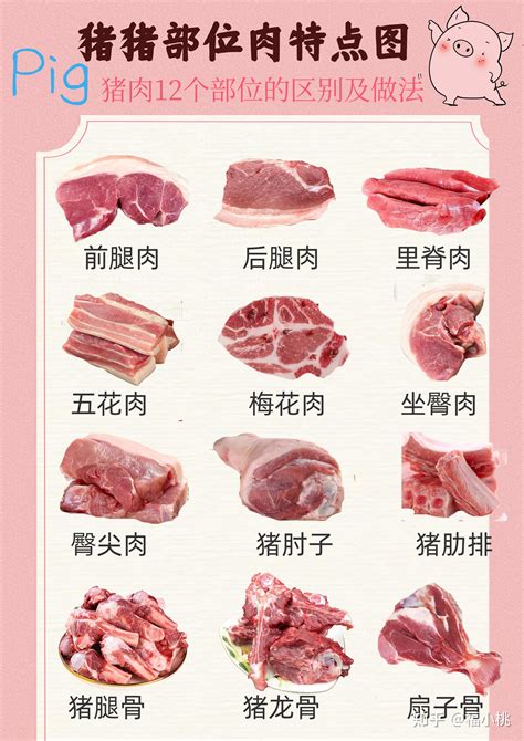 猪肉部位分切分解分割图设计图__海报设计_广告设计_设计图库_昵图网nipic.com