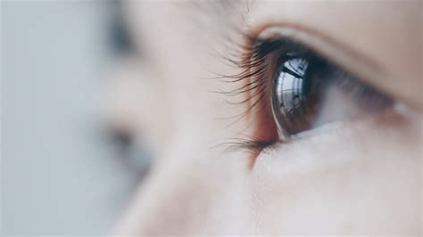眼球视频素材-眼球实拍高清素材-凌点视频素材网
