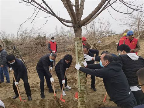 图讯郑州分公司植树节活动侧记 | 图讯科技