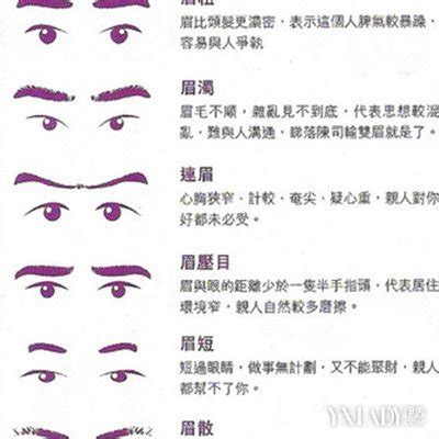 【图】男生眉形图展示 从眉毛看出男人的性格_男生眉形图_伊秀美容网|yxlady.com