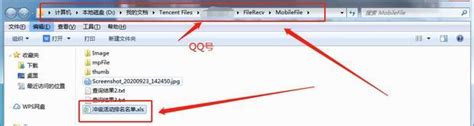 手机qq下载的文件存储在哪一个文件夹_360新知