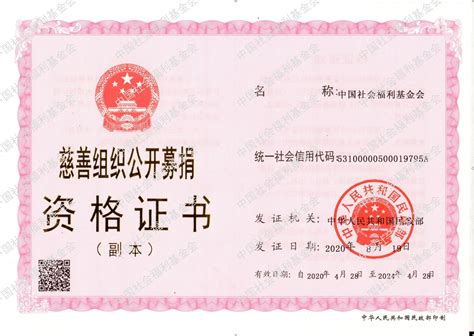 证书资质-中国社会福利基金会