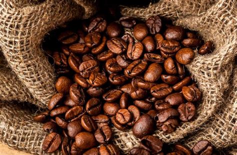 咖啡馆自家烘焙咖啡的分类品种及特点一览表 咖啡的种类及口味 中国咖啡网