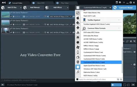 Any Video Converter (AVC) Free Download - ALL PC World