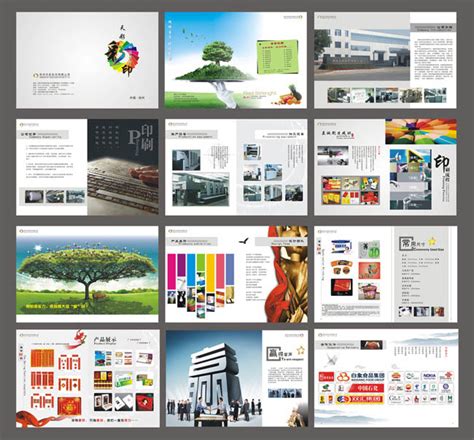 保定广告设计公司/画册设计/包装设计/标志设计/VI设计/网页设计,排版印刷,网站推广