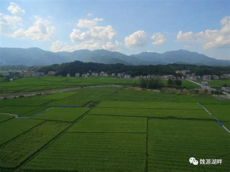 简阳市石桥镇规划图,简阳石桥镇,石桥镇规划图_大山谷图库