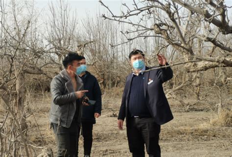 新疆兵团四师可克达拉市融媒体中心直播助农带货工作正式启动