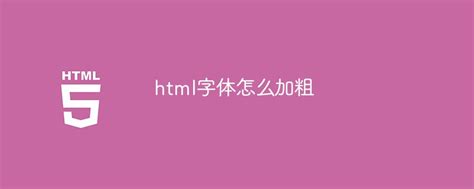 互联网常识：html字体怎么加粗_NAP6科技网