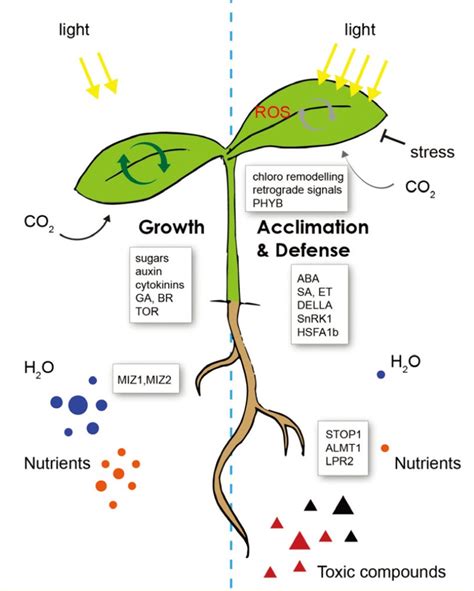 科学网—J EXP BOT：植物非生物胁迫防御的分子机制（综述） - 郝兆东的博文