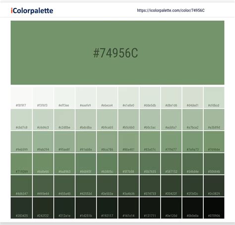 Pantone 2263 C Color | Hex color Code #74956C information | Hsl | Rgb ...