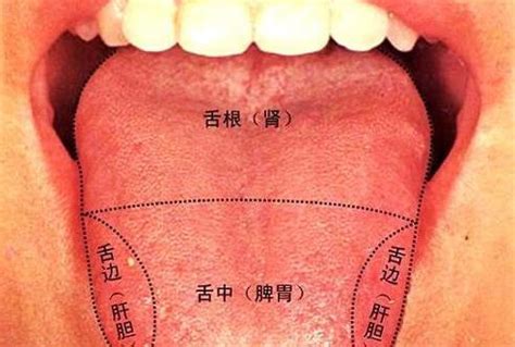 咬舌自尽是真的吗？如果是真的，那么其原理是什么呢？|舌头|原理|舌根_新浪新闻