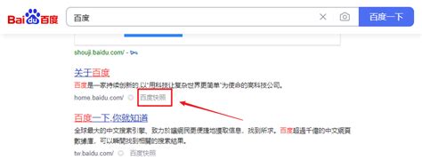 如何投诉百度快照？_新蜂智能建站 - 小程序开发_网站建设_APP开发-新蜂云企