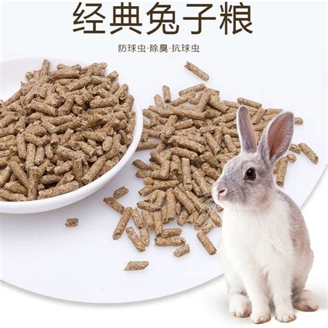 小白兔喜欢吃什么食物？_360问答