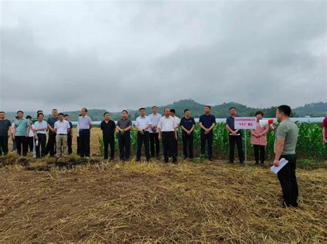 农业农村局：市农技推广中心莅涟开展小麦技术指导