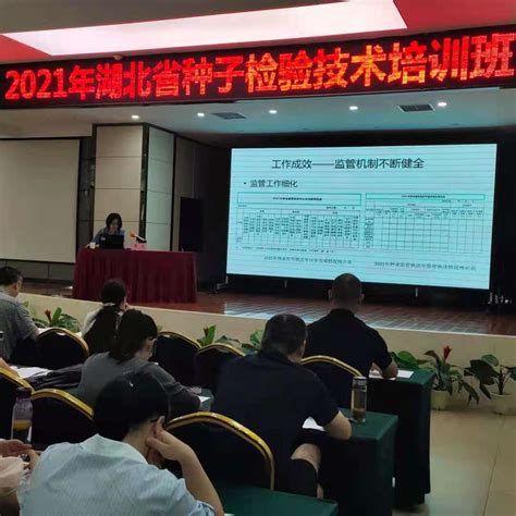 省种子管理局成功举办2021年种子检验技术培训班--湖北省农业农村厅