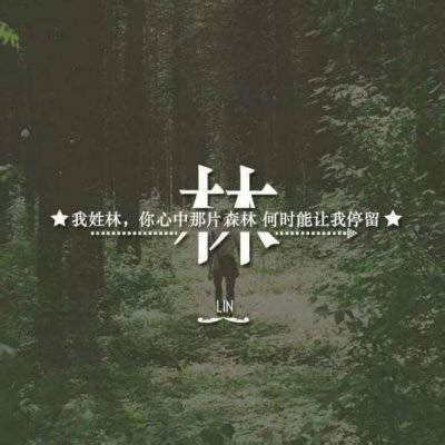 非主流带林的微信头像