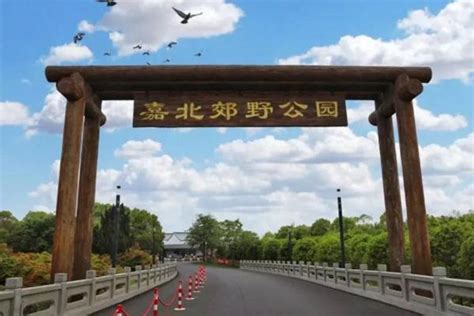 上海共青森林公园-上海共青森林公园值得去吗|门票价格|游玩攻略-排行榜123网