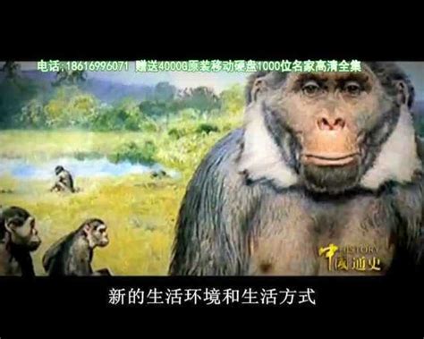 中国通史之古代史全180集_腾讯视频