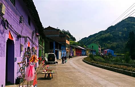 福州罗源：花卉产业助力乡村振兴 - 福建旅游资讯网