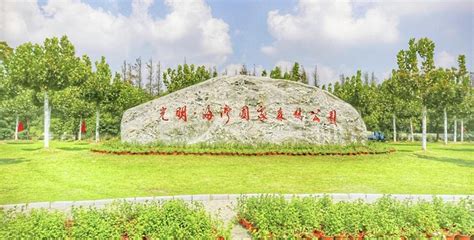 2024上海海湾国家森林公园-旅游攻略-门票-地址-问答-游记点评，上海旅游旅游景点推荐-去哪儿攻略