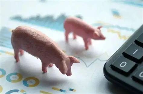 2021年一2022年猪价怎样-2021年到2025年养猪行情 - 见闻坊