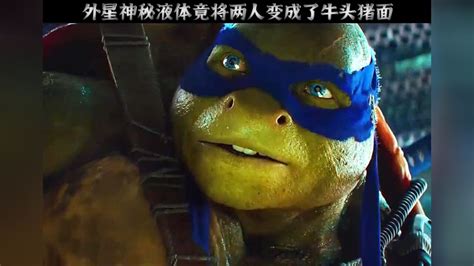 忍者神龟，老鼠养了四个变异的乌龟_腾讯视频