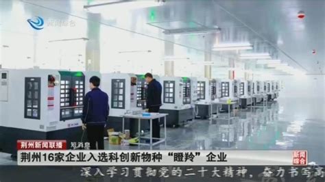 荆州：优化完善科技创新体系 构建全域创新大格局