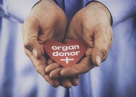 器官捐献是无偿的，为啥移植却要天价？揭秘其中的收费明细 - 知乎