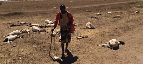 21.3万人面临饥荒，索马里：旷日持久的干旱和饥饿就是我们的未来__财经头条