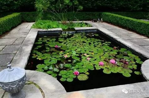 水池中的种植池图片__编号6578739_红动中国